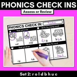 PHONICS CHECK INS - CVC Words & CVCC CCVC Words Set 2 - No Prep Phonics Assessments