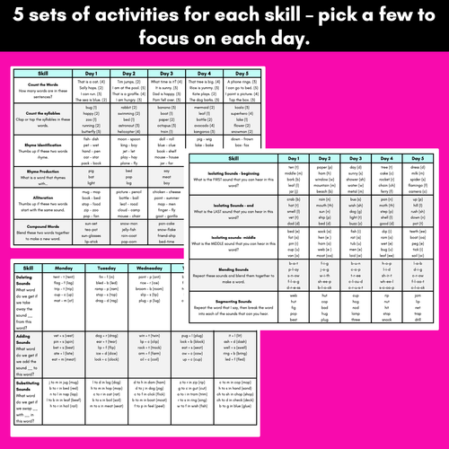 Resource preview 2 for Phonological Awareness Skills Assessment Tracker & Sample Activities