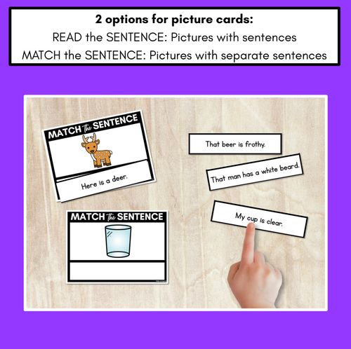 Resource preview 2 for R-Controlled Vowels EER Phoneme Decodable Sentences - Read & Match