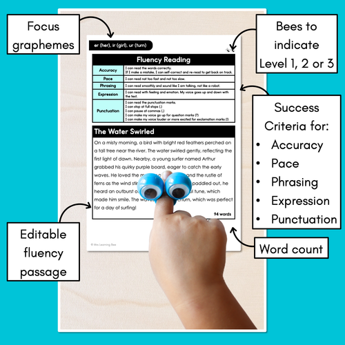 Resource preview 3 for Editable Differentiated Decodable Fluency Texts - er (her), ir (girl), ur (turn)