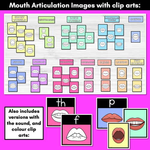 Resource preview 3 for Mouth Articulation Flash Cards RAINBOW