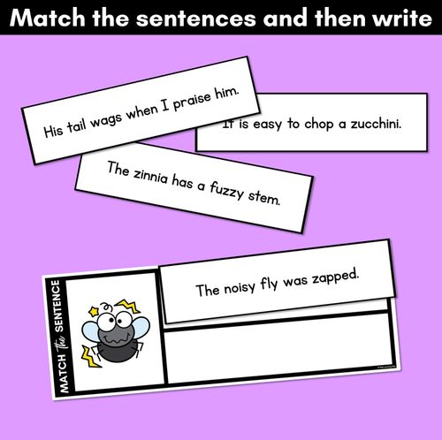 Resource preview 4 for Z Phoneme Decodable Sentences - Read, Match & Write