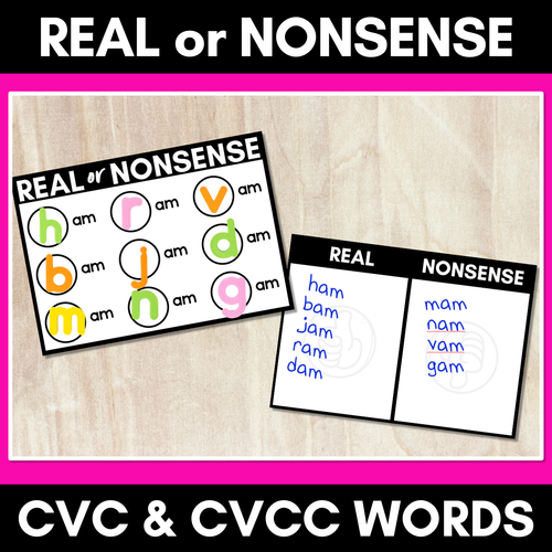 Resource preview 1 for CVC CVCC WORDS GAME - Real or Nonsense?