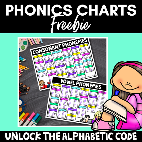 Resource preview 1 for PHONICS CHART FREEBIE - Consonant Sounds & Vowel Sounds