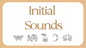 Initial Sounds Matching Activity - PowerPoint