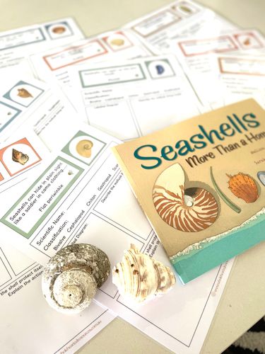 Resource preview 2 for Seashells: More Than Just a Home- Research Cards