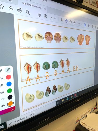 Resource preview 4 for Shell Pattern Cards