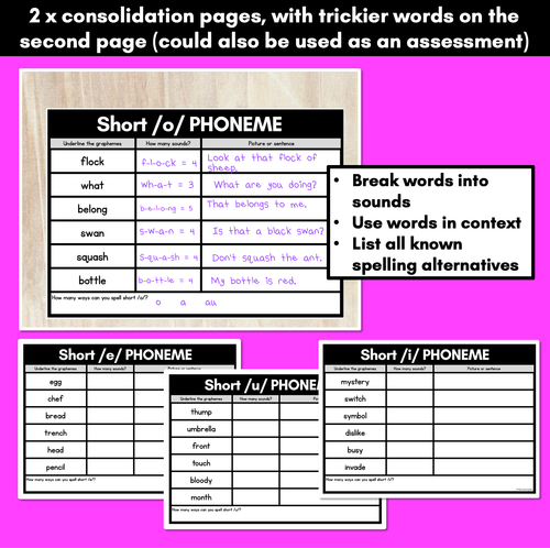 Resource preview 2 for Short Vowel Sounds Brainstorm Templates & Assessments