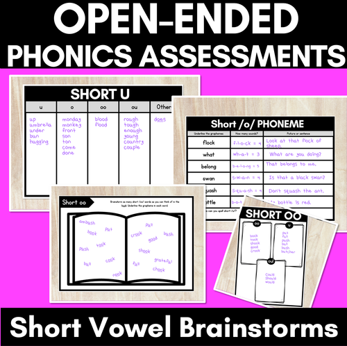 Resource preview 5 for Vowel Sounds Brainstorms & Assessments BUNDLE