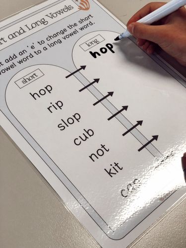 Resource preview 2 for Short and Long Vowel Posters and Activity Cards