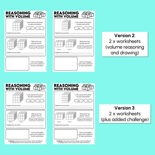 Resource preview 4 for Reasoning with Volume Worksheets