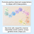 2 for Bee Posters- The Brentos Collection - Classroom Values & Expectations