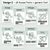 3 for Number Posters 1-30 - The Eucalyptus Edit - Eucalyptus Classroom Decor