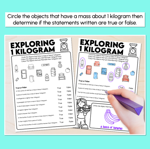 Resource preview 2 for Exploring 1 Kilogram Worksheets