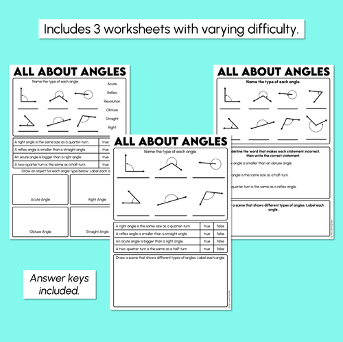 Resource preview 3 for All About Angles Worksheets - Types of Angles Review