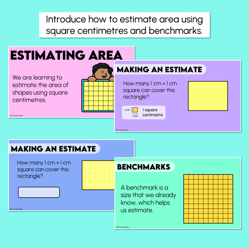 Resource preview 2 for Estimating Area Using Square Centimetres – Digital Slides