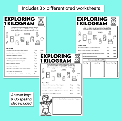 Resource preview 3 for Exploring 1 Kilogram Worksheets