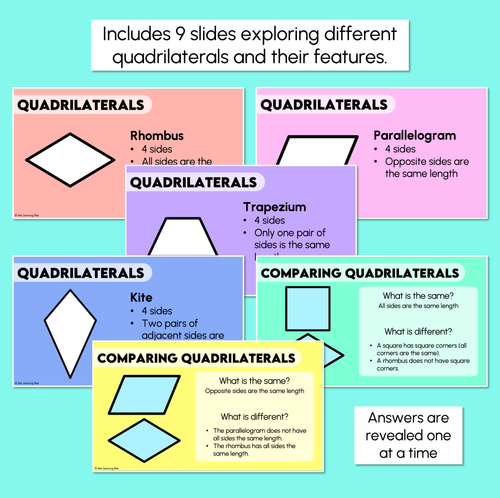Resource preview 3 for Quadrilaterals - Digital Slides