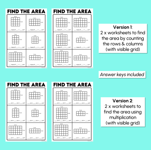 Resource preview 3 for Find the Area - Finding Area Using Square Centimetres - Worksheets