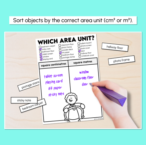 Resource preview 2 for Which Area Unit - Sorting Area Units (cm² or m²) Worksheets
