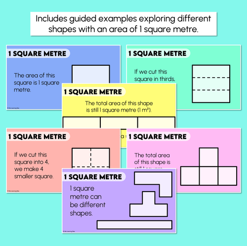 Resource preview 3 for Exploring 1 Square Metre – Digital Slides