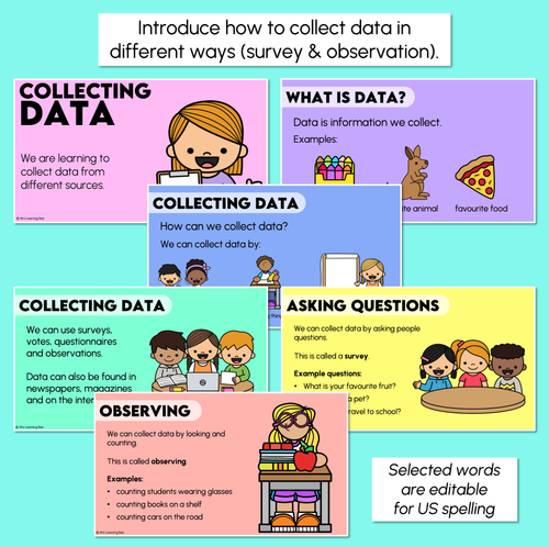 Resource preview 2 for Collecting Data - Digital Slides