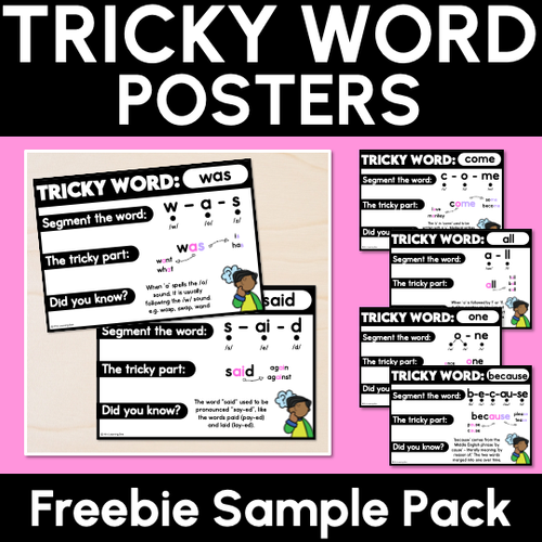 Resource preview 1 for WORDS WITH TRICKY SPELLINGS Freebie - High Frequency Words