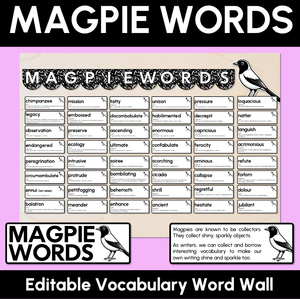 Magpie Words - Editable Vocabulary Word Wall