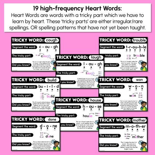 Resource preview 3 for High Frequency Heart Word Posters SET 6- WORDS WITH TRICKY SPELLINGS