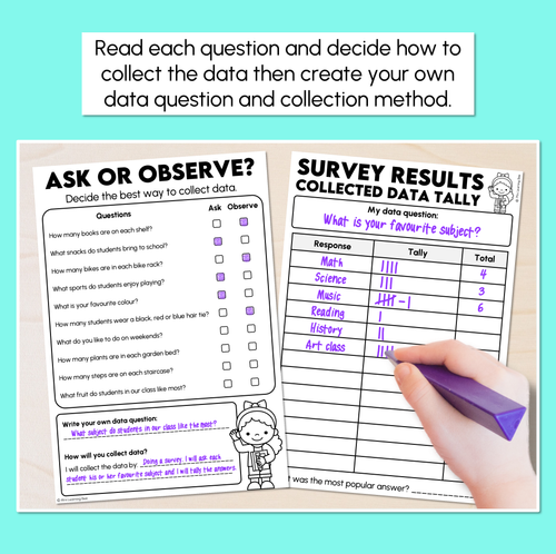 Resource preview 2 for Ask or Observe? - Collecting Data Worksheets