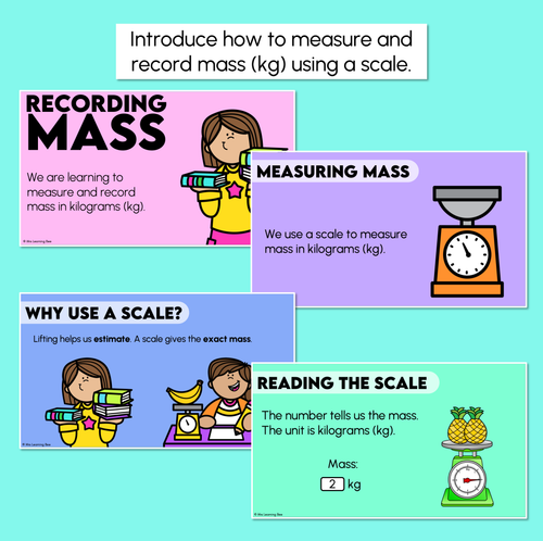Resource preview 2 for Recording Mass in Kilograms - Digital Slides