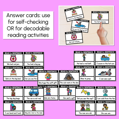 Resource preview 3 for CVC Word Decodable Sentences - Read, Match & Write Set 3 - CVC Words