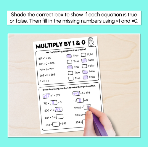 Resource preview 2 for Multiplying by 1 & 0 - True or False Worksheets