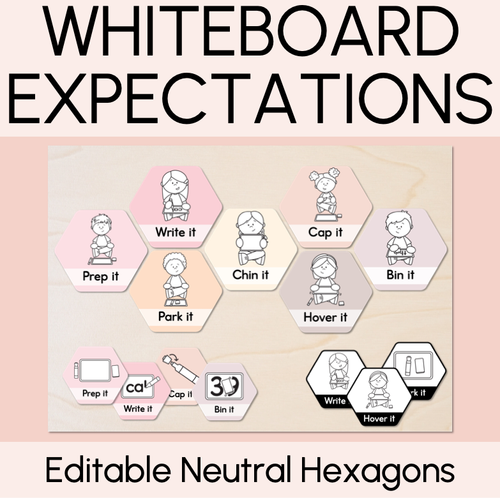 Resource preview 1 for Whiteboard Expectations - Editable Neutral Hexagons - Instructional Signs