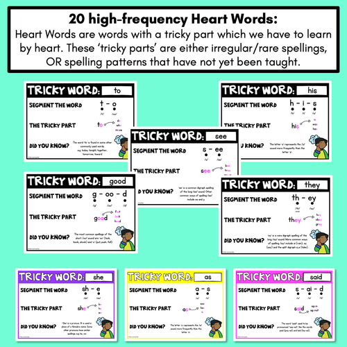 Resource preview 4 for High Frequency Heart Word Posters SET 1 - WORDS WITH TRICKY SPELLINGS