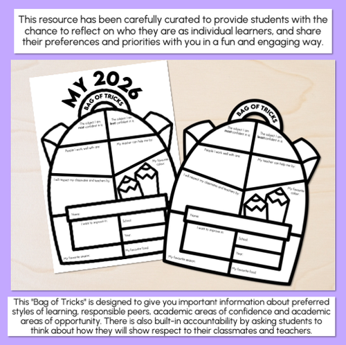 Resource preview 2 for Bag of Tricks - Get to Know You Activity & Classroom Display