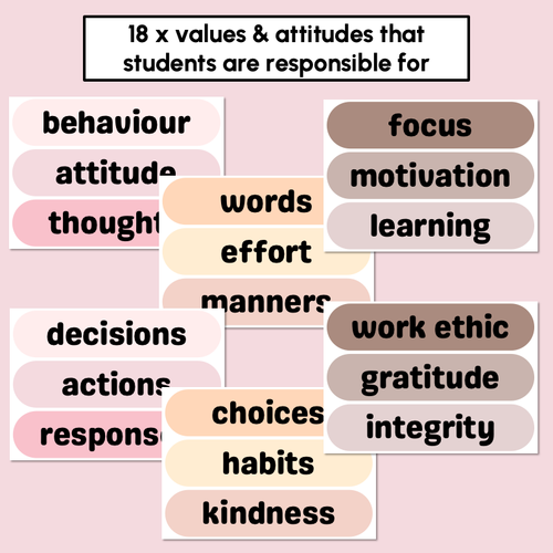 Resource preview 2 for Meet the Person Responsible For... Neutral Display - Classroom Values & Attitudes
