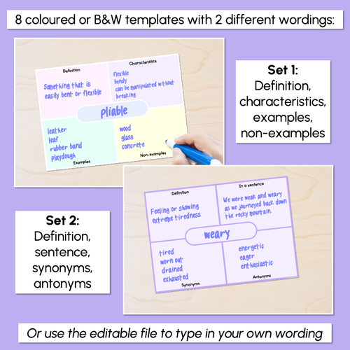 Resource preview 2 for Editable Frayer Model Printable Templates - Rainbow or Black & White
