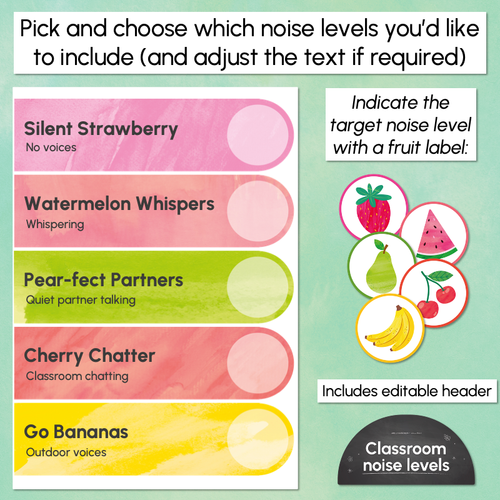 Resource preview 2 for Editable Classroom Noise Levels Poster - The Tutti Frutti Collection - Colourful Classroom Decor