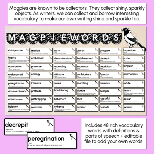 Resource preview 2 for Magpie Words - Editable Vocabulary Word Wall