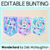 1 for EDITABLE BUNTING - The Wonderland Collection