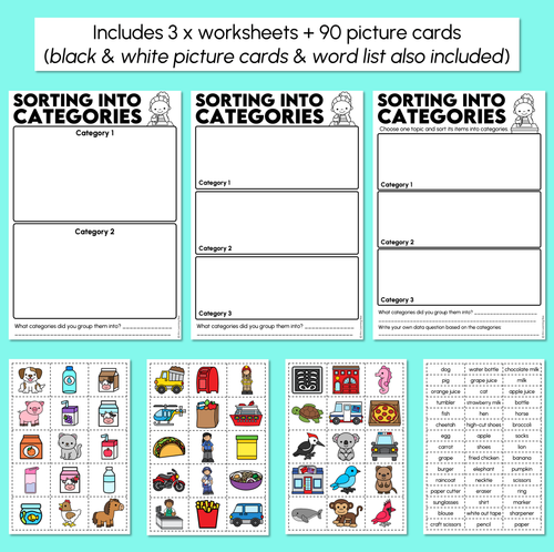 Resource preview 3 for Sorting Into Categories - Data Worksheets