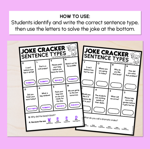 Resource preview 2 for Joke Code Cracker - Sentence Types