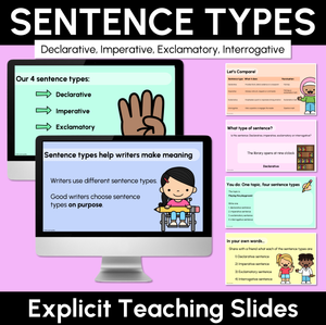Sentence Types Explicit Teaching Slides
