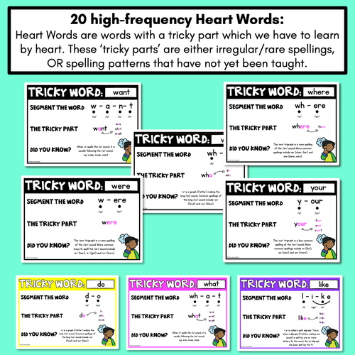 Resource preview 4 for High Frequency Heart Word Posters SET 2 - WORDS WITH TRICKY SPELLINGS