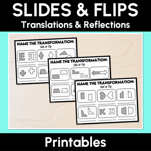 Resource preview 1 for Slides & Flips - Translations & Reflections (Printables)