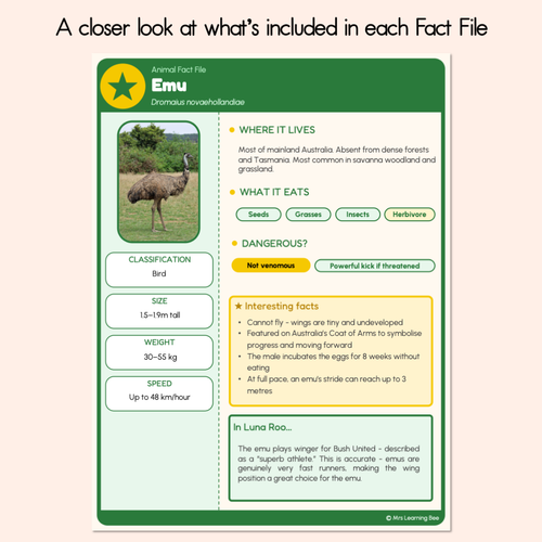 Resource preview 3 for Luna Roo Animal Fact Files - Australian Animals - National Simultaneous Storytime 2026