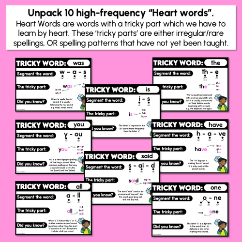Resource preview 3 for WORDS WITH TRICKY SPELLINGS Freebie - High Frequency Words