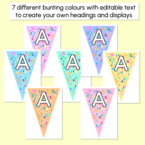 Resource preview 2 for EDITABLE TRIANGLE BUNTING - The Kasey Rainbow Collection