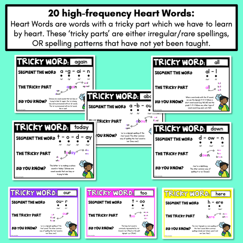 Resource preview 4 for High Frequency Heart Word Posters SET 3- WORDS WITH TRICKY SPELLINGS